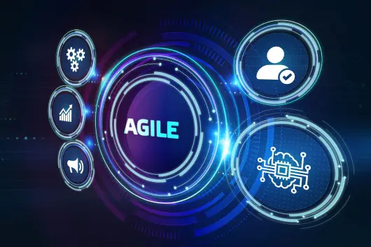 Agile Project Delivery