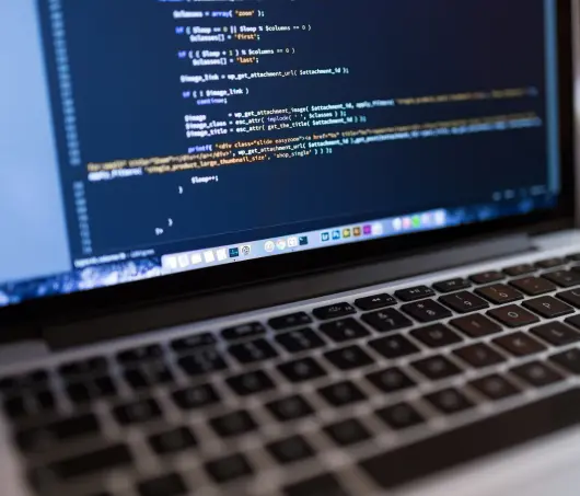 Custom WordPress Website Development