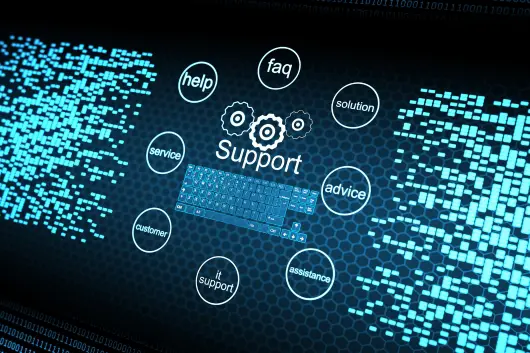 Post-Launch Support