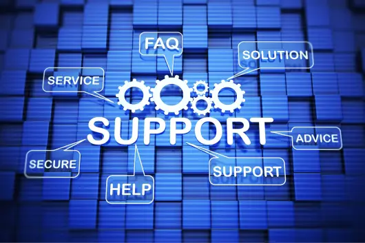Post-launch Support