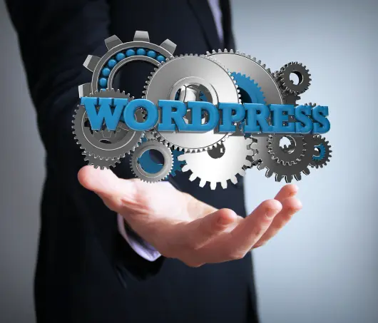 WordPress Maintenance & Support