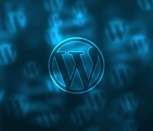 WordPress Speed Optimization