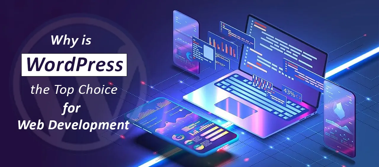 Why is WordPress top choice for web development